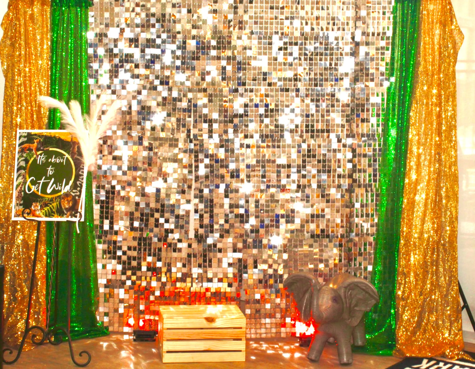 Safari-themed photo booth backdrop with a sequin wall and drape panels — Church & Community Events by Good Time Mascots in Columbus, Ohio